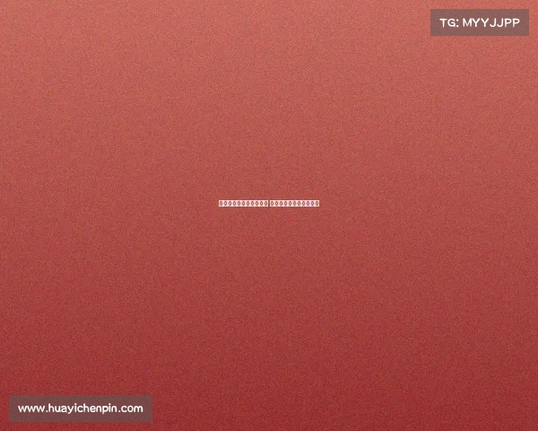 维萨渴望加盟纽卡踢欧冠 目前在伦敦独自苦练待机