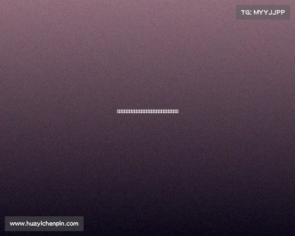 近六个赛季社区盾亚军四度加冕英超冠军好兆头是否成真