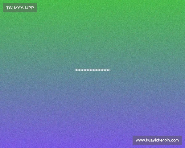 法甲联赛赛事组织架构与管理模式的创新与发展探索