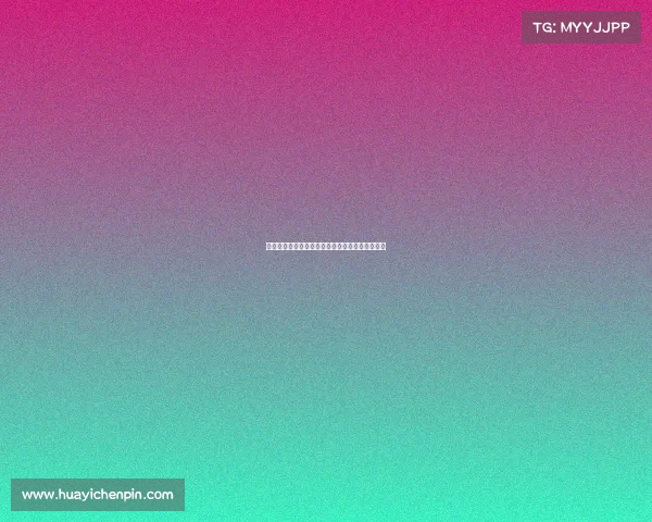 维萨预计将于周二回归布伦特福德训练并恢复备战