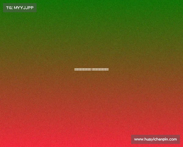 维萨渴望加盟纽卡踢欧冠 目前在伦敦独自苦练待机 维萨渴望加盟纽卡踢欧冠 目前在伦敦独自苦练待机