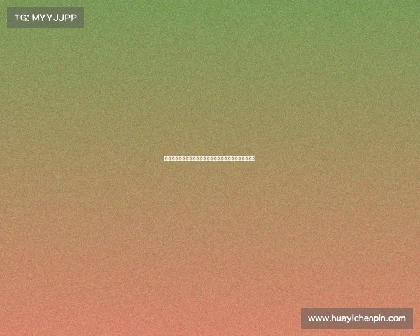 赫罗纳：西班牙迷人海岸城市的历史遗韵与现代风貌之融合