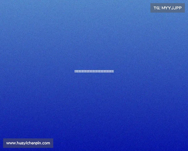 法甲幕后团队的协作与策略如何塑造法国足球的辉煌成就