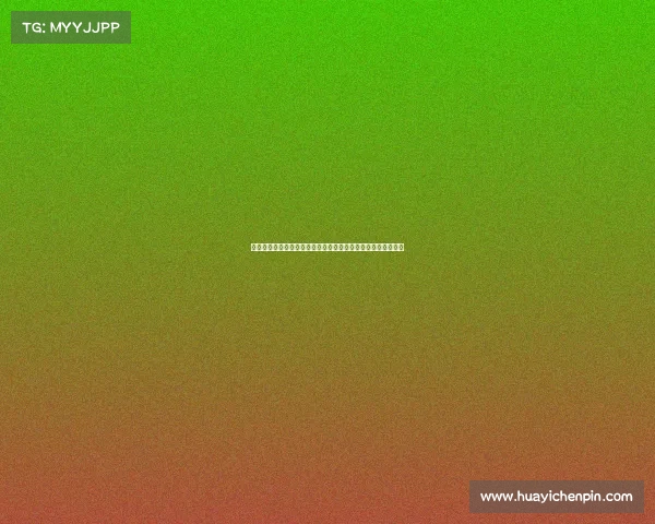 瓦茨克谈是否竞选多特主席：我需要时间慎重考虑并会公开决定
