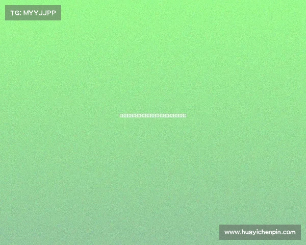 英超助教体系的现状与发展趋势分析及其对战术创新的影响