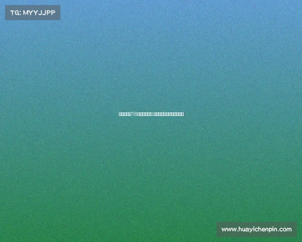 贡萨洛身披16号亮相友谊赛 恩德里克仍保留该号码登记